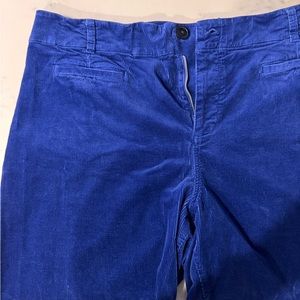 Maeve for Anthropologie.  Wide-Leg Blue Corduroy Pants.  Size 22.